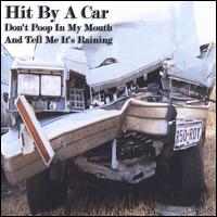 Hit by a Car - Don't Poop in My Mouth and Tell Me It's Raining lyrics