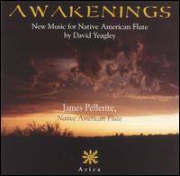 James Pellerite - Awakenings lyrics
