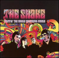 The Shake - Trippin' the Whole Colourful World lyrics