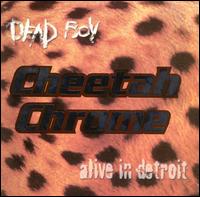 Cheetah Chrome - Alive in Detroit lyrics