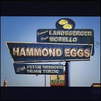 Jermaine Landsberger - Hammond Eggs lyrics