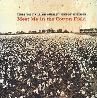 Terry Willams/Wesley Jefferson - Meet Me in the Cotton Field lyrics