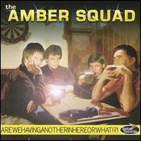 The Amber Squad - Arewehavinganotherinhereorwhat? lyrics