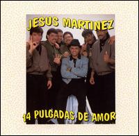Jesus Martinez - 14 Pulgadas lyrics