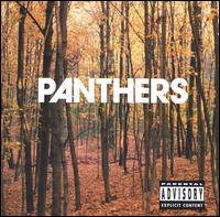 Panthers - Things Are Strange lyrics