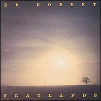 Dr. Robert - Flatlands lyrics