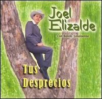 Joel Elizalde - Tus Desprecios lyrics
