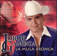 Jorge Gamboa - La Mula Bronca lyrics