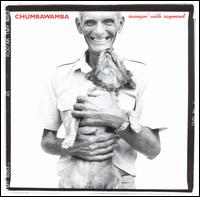 Chumbawamba - Swingin' With Raymond lyrics
