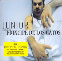 Junior Miguez - Principe de los Gatos lyrics