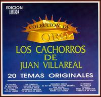 Juan Villareal - Los Cachorros de Juan Villareal: 20 Temas Originales - Coleccion de Oro lyrics