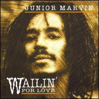 Junior Marvin - Wailin' for Love lyrics