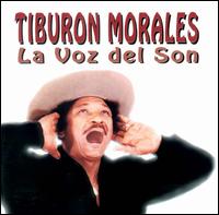 Tiburon Morales - La Voz del Son lyrics