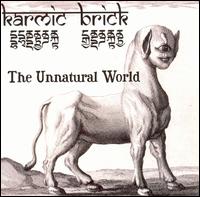 Karmic Brick - Unnatural World lyrics