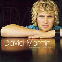 David Martin - Something in Your Eyes lyrics