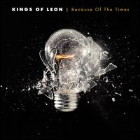 Kings of Leon - Because of the Times lyrics