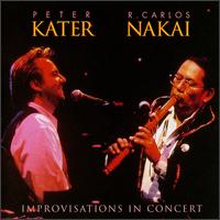 Peter Kater - Improvisations in Concert [live] lyrics