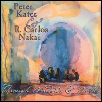 Peter Kater - Through Windows & Walls lyrics