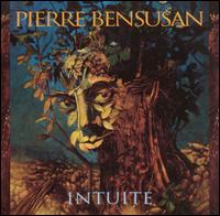 Pierre Bensusan - Intuite lyrics