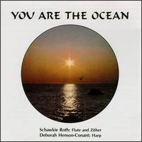 Schawkie Roth - You Are the Ocean lyrics