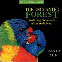 David Sun - The Enchanted Forest lyrics