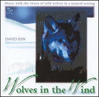 David Sun - Wolves in the Wind lyrics