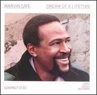 Marvin Gaye - Dream of a Lifetime lyrics