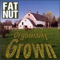 Fat Nut - Organically Grown lyrics