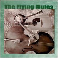 Flying Mules - Songs, Tunes and Riddles lyrics