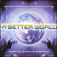 DJ Wayne Shepherd - A Better World lyrics