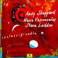 Andy Shepherd - Inclassifiable lyrics