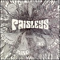 The Paisleys - Cosmic Mind at Play lyrics