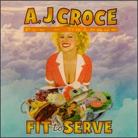A.J. Croce - Fit to Serve lyrics