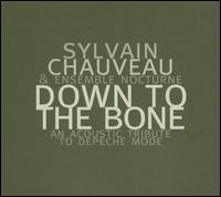 Sylvain Chauveau & Ensemble Nocturne - Down to the Bone: An Acoustic Tribute to Depeche Mode lyrics