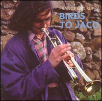 Francesco Suppa - Birds to Jaco lyrics