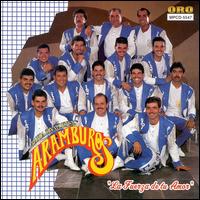 Banda Aramburos - Fuerza de Tu Amor lyrics