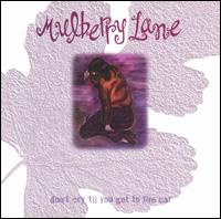 Mulberry Lane - Don't Cry Till You Get to the Car lyrics