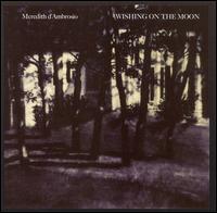 Meredith d'Ambrosio - Wishing on the Moon lyrics