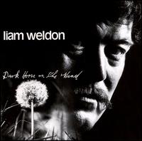 Liam Weldon - Dark Horse on the Wind lyrics