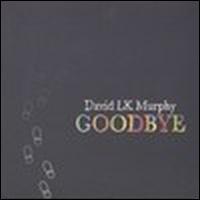David LK Murphy - Goodbye lyrics