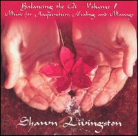 Shawn Livingston - Balancing the Qi, Vol. 1 lyrics