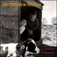 Little Sigmoid - It's Warmer in the Sun lyrics