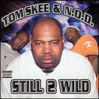 Tom Skee - Still 2 Wild lyrics