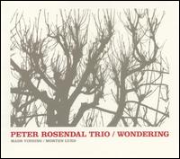 Peter Rosendal Trio - Wondering lyrics