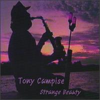 Tony Campise - Strange Beauty lyrics