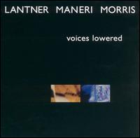 Steven Lantner - Voices Lowered lyrics