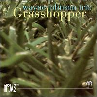 Wayne Johnson - Grasshopper lyrics