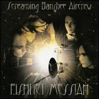 Screaming Banshee Aircrew - Fishnet Messiah lyrics