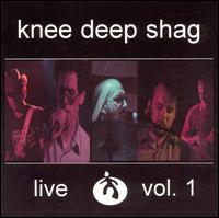Knee Deep Shag - Live, Vol. 1 lyrics