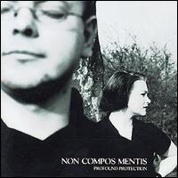 Non Compos Mentis - Profound Protection lyrics
